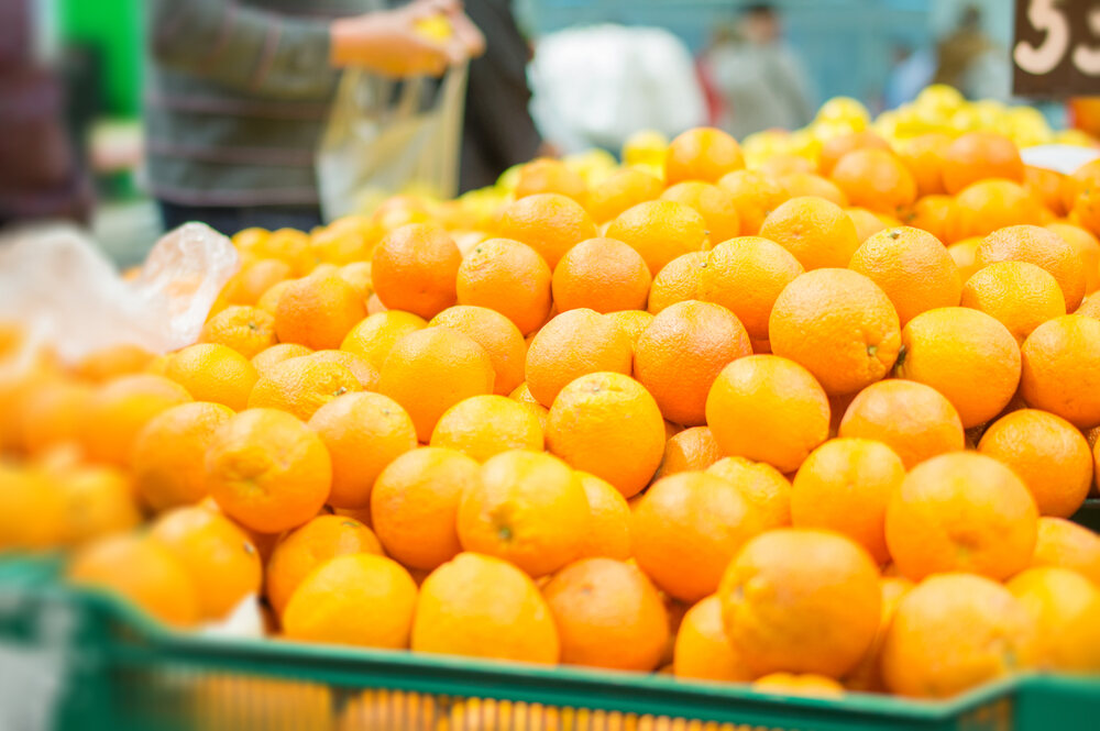 comprar naranjas al por mayor